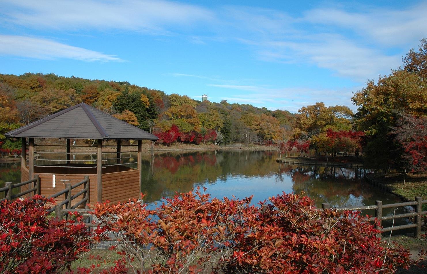 🌸 북산 공원(키타야마 코엔) 이미지 4